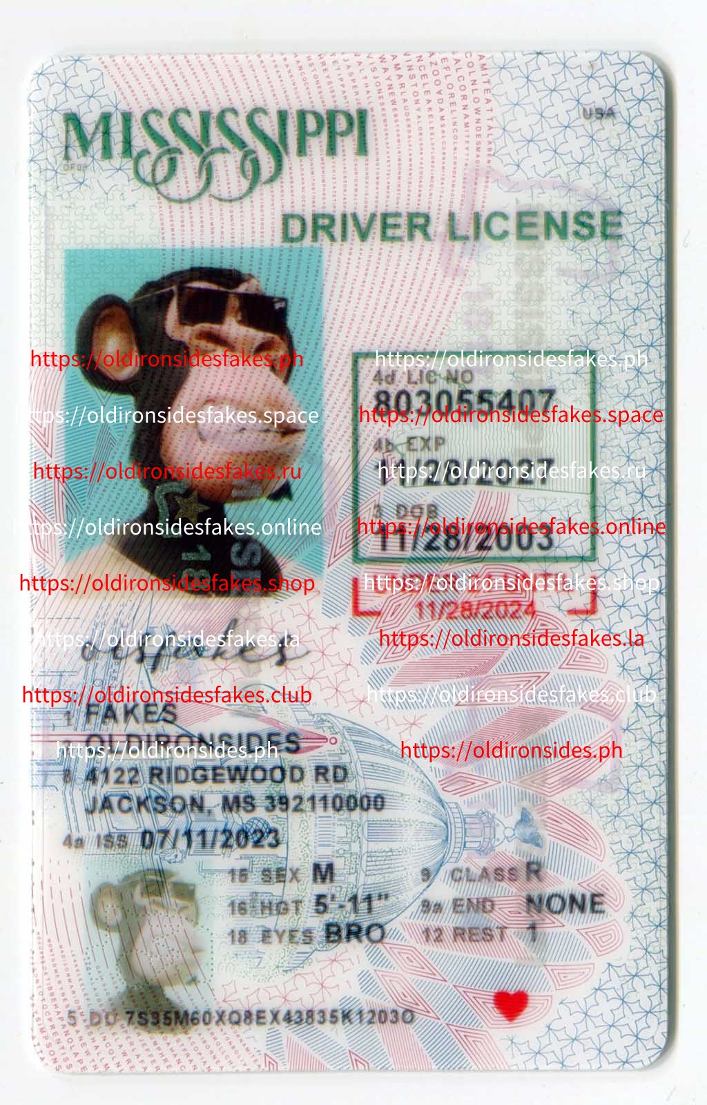 Mississippi Driver License (MS U21)