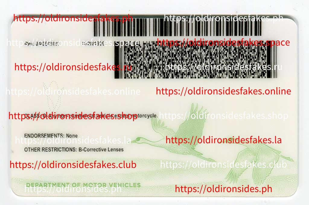 Nebraska Driver License (NE) - Image 4