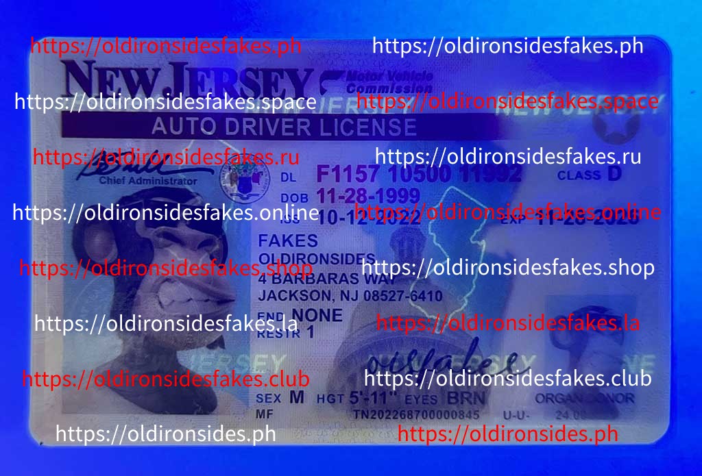 New Jersey Driver License (NJ) - Image 3