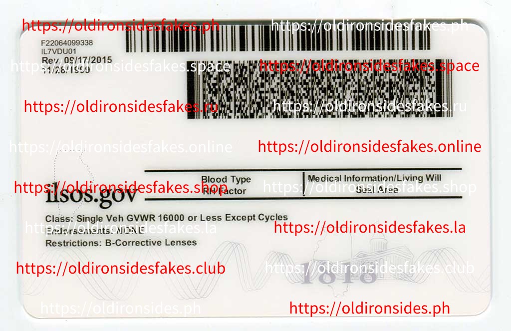 Illinois Driver License(New IL) - Image 4