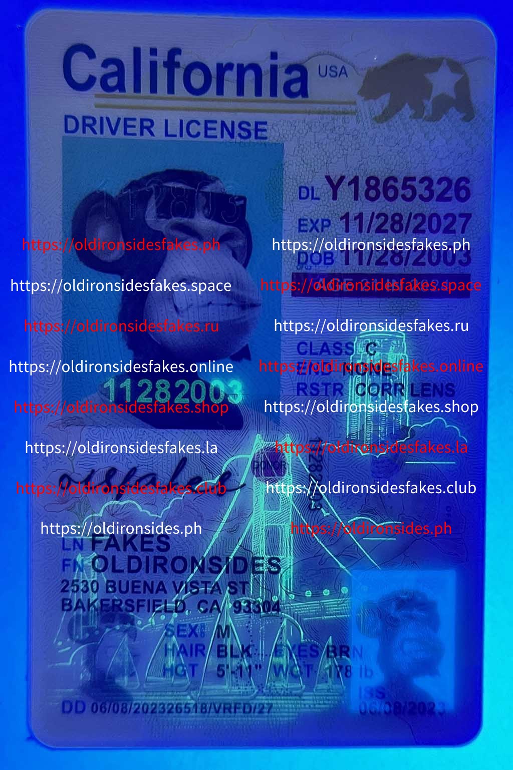 California Driver License(New CA U21) - Image 4