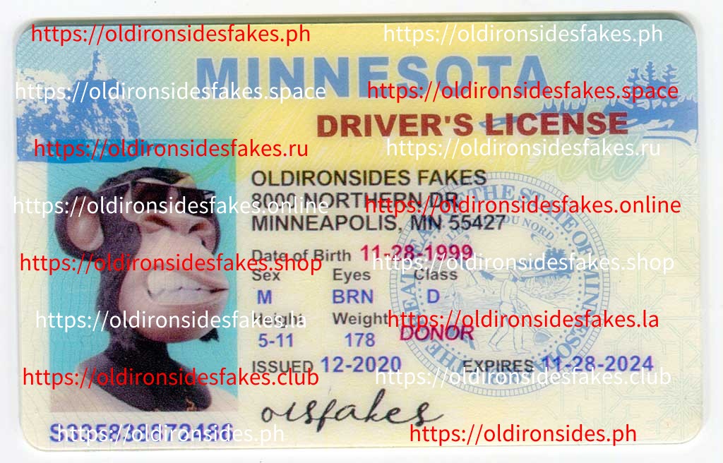 Minnesota Driver License (Old MN)