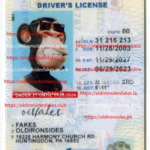 Pennsylvania Driver License(New PA U21)