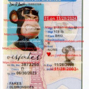 Delaware Driver License(New DE U21)