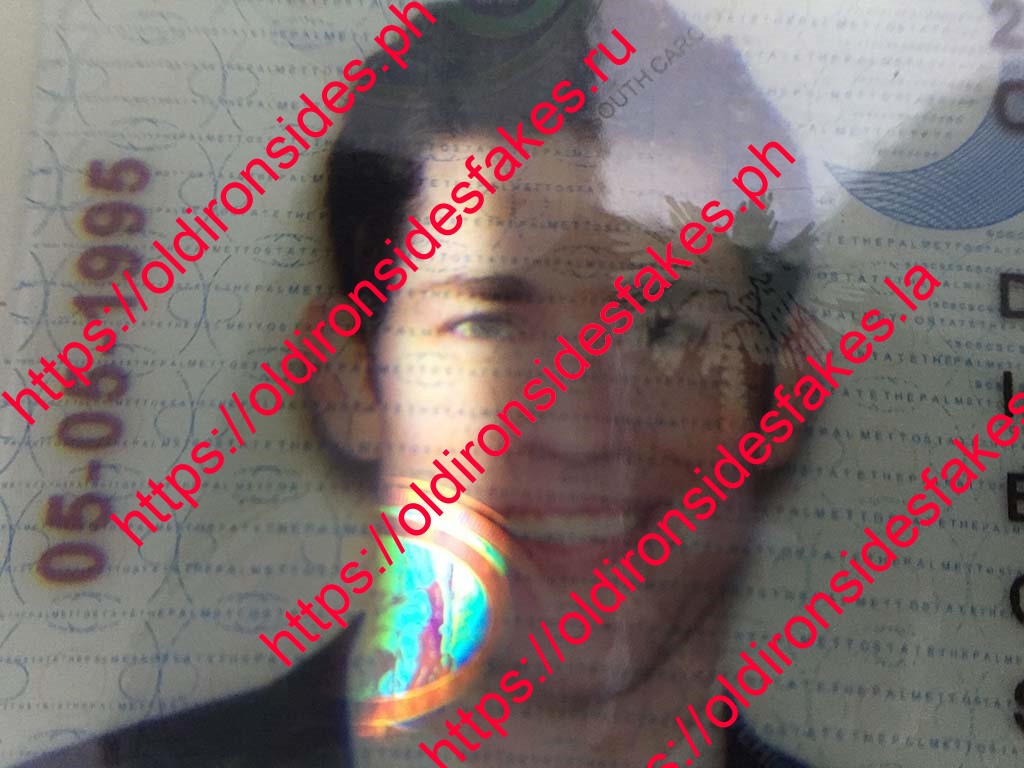 South Carolina Driver License(Old SC) - Image 2