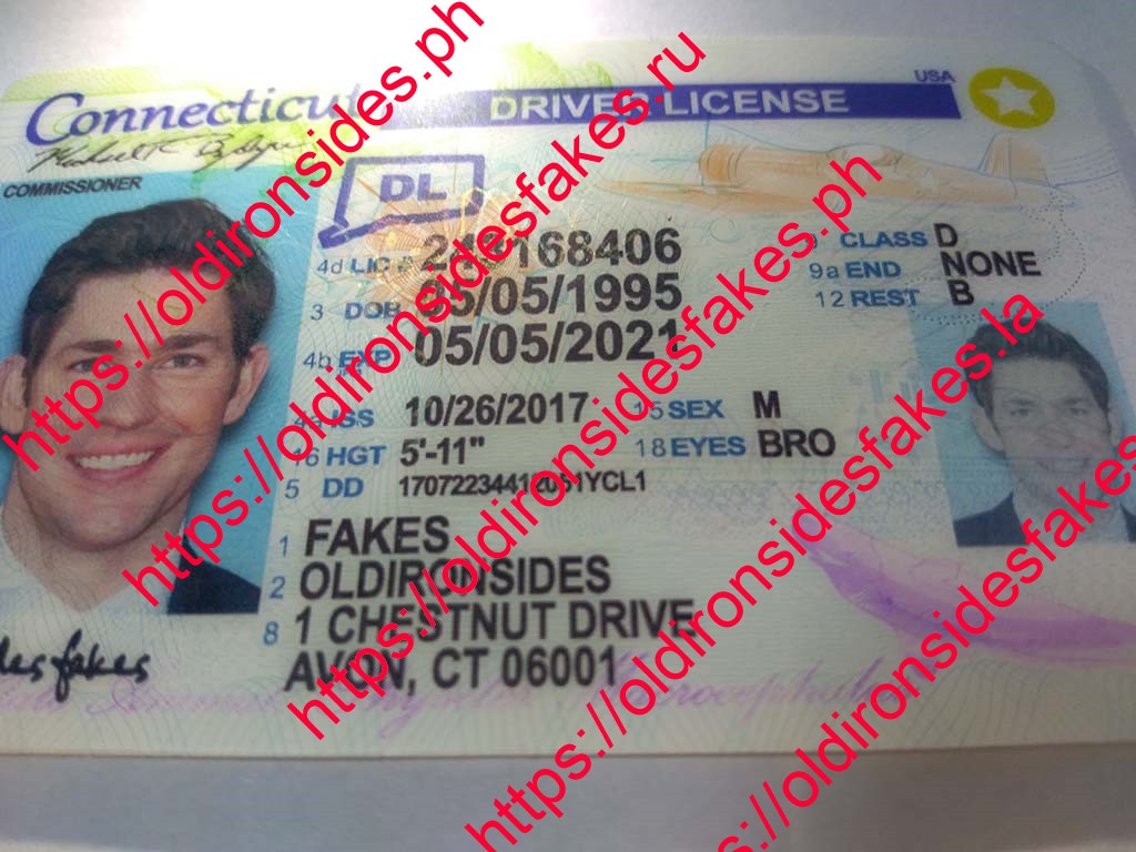 Connecticut Driver License(New CT) - Image 3
