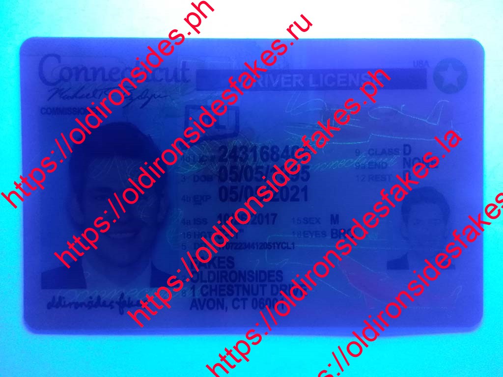 Connecticut Driver License(New CT) - Image 2