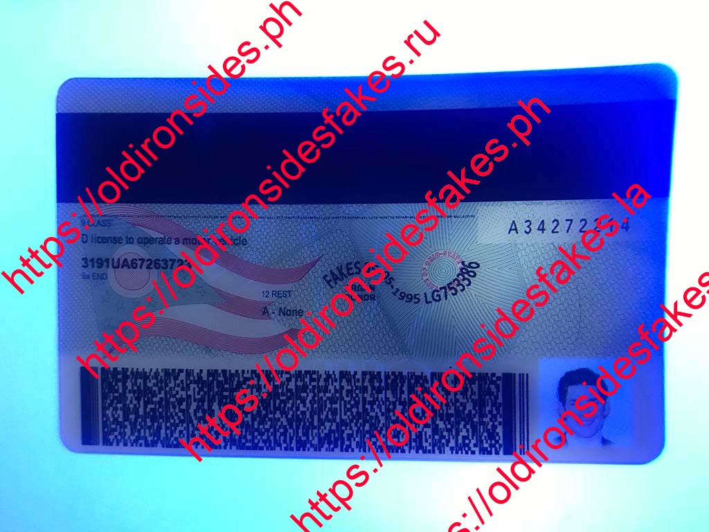 Ohio Driver License(New OH) - Image 2