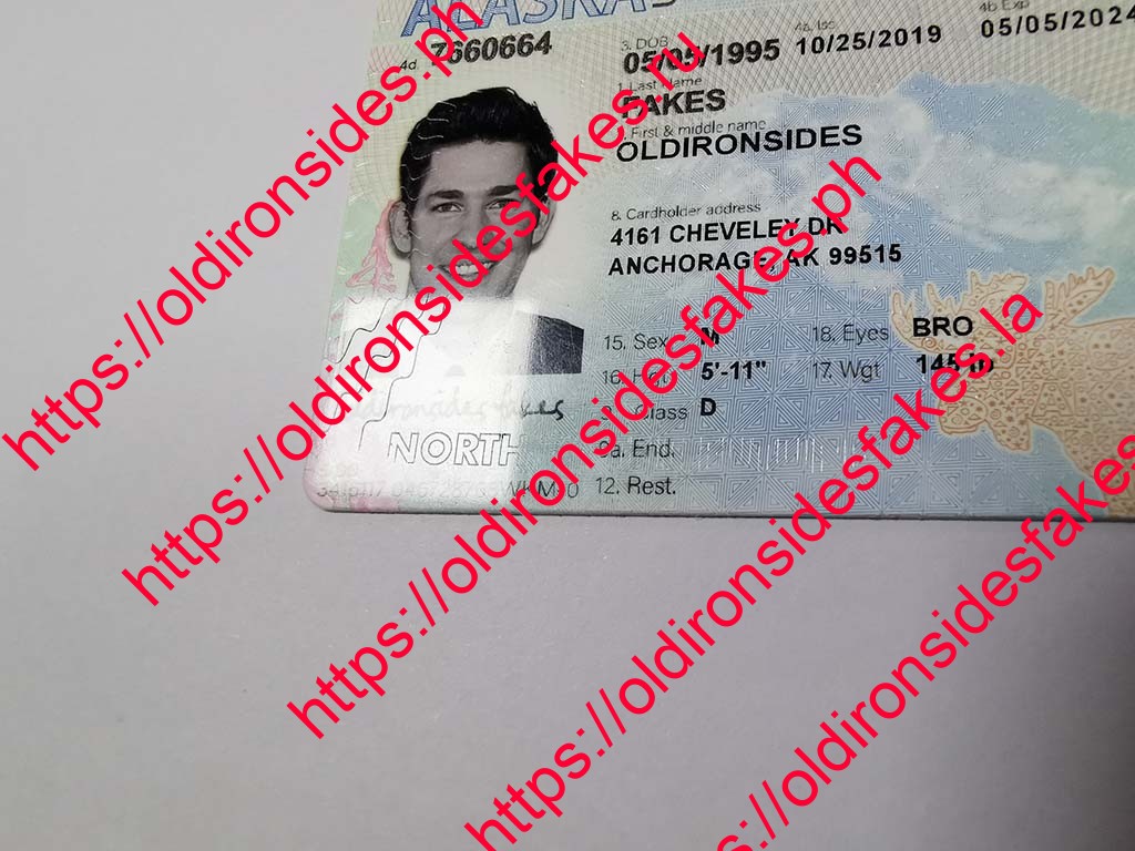 Alaska Driver License(AK) - Image 3