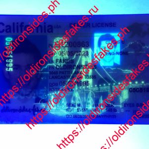 California Driver License(New CA O21)
